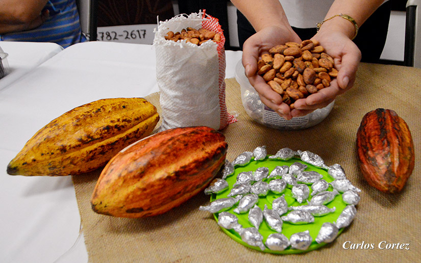 festival-chocolate-mefcca